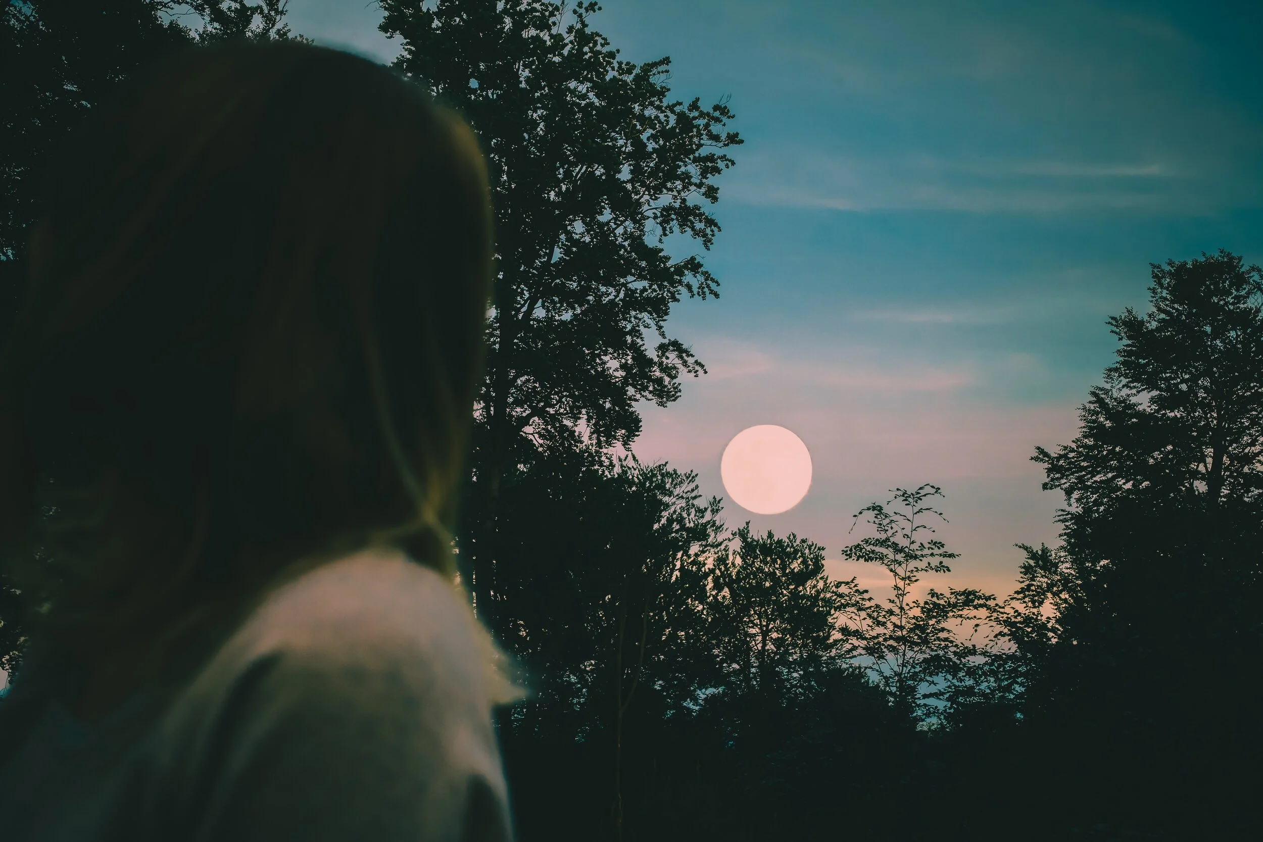 emilia-niedzwiedzka-O0V9uAAuX0Y-unsplash.jpg