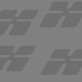 Ipsum rutrum orci