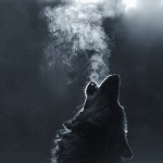 How to Make Your Moon Time Feel Amazing